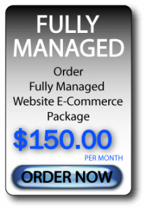 Fully Managed E-Commerce Website